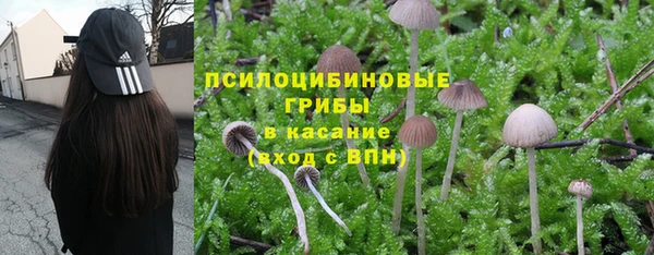 ECSTASY Арсеньев