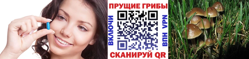 Псилоцибиновые грибы Psilocybe kraken зеркало Пушкино